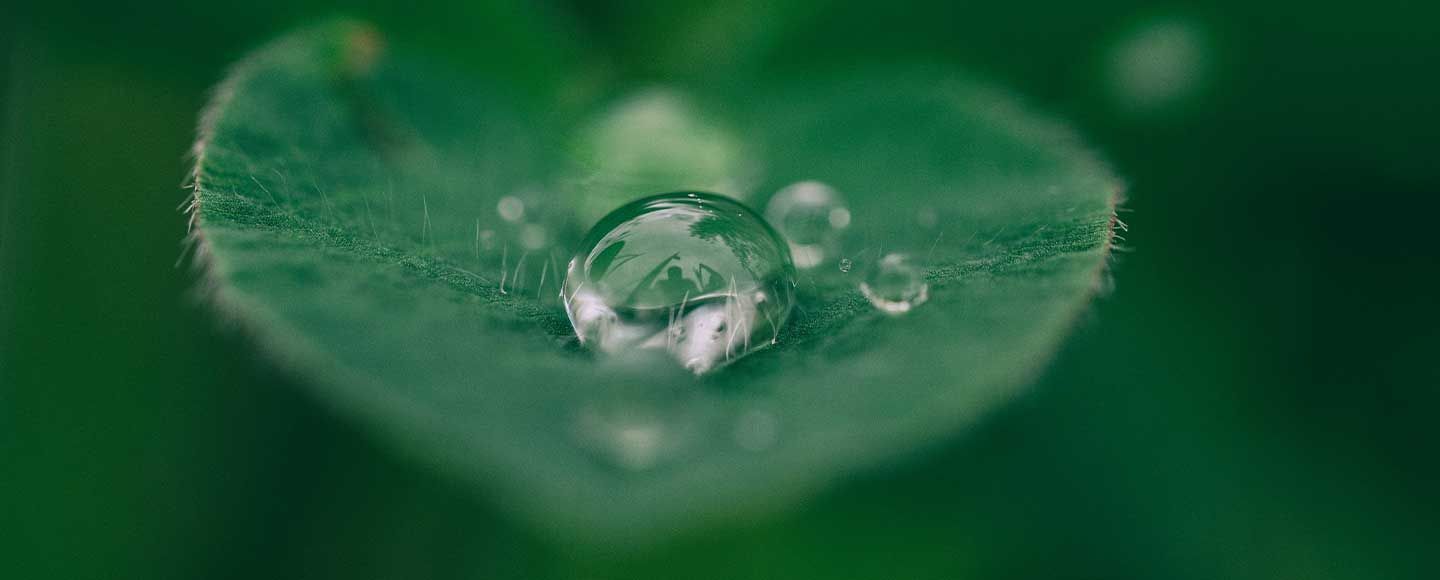Le Propre et le Désinfectant, champions multi-usages