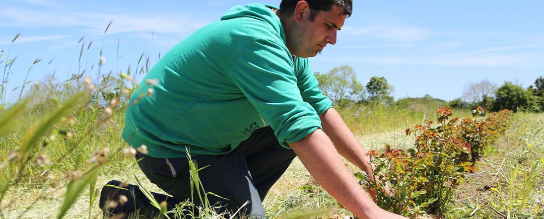 temoignage - etre attentif a la biodiversite chez body nature