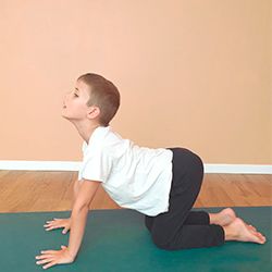 posture de yoga le chat et la vache