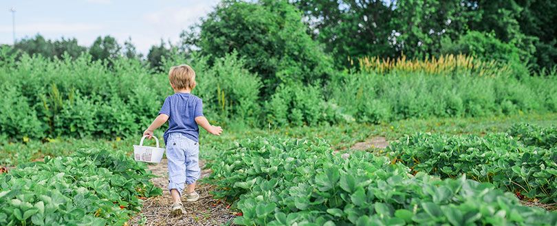 biodynamie - agriculture au service de la nature