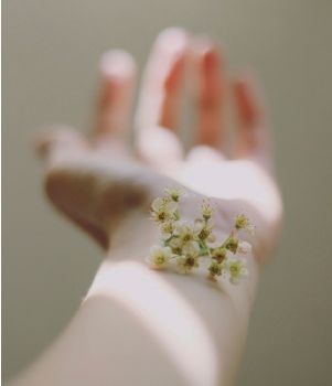 Peaux sensibles : la solution de la lessive bio Peaux sensibles : la solution de la lessive bio