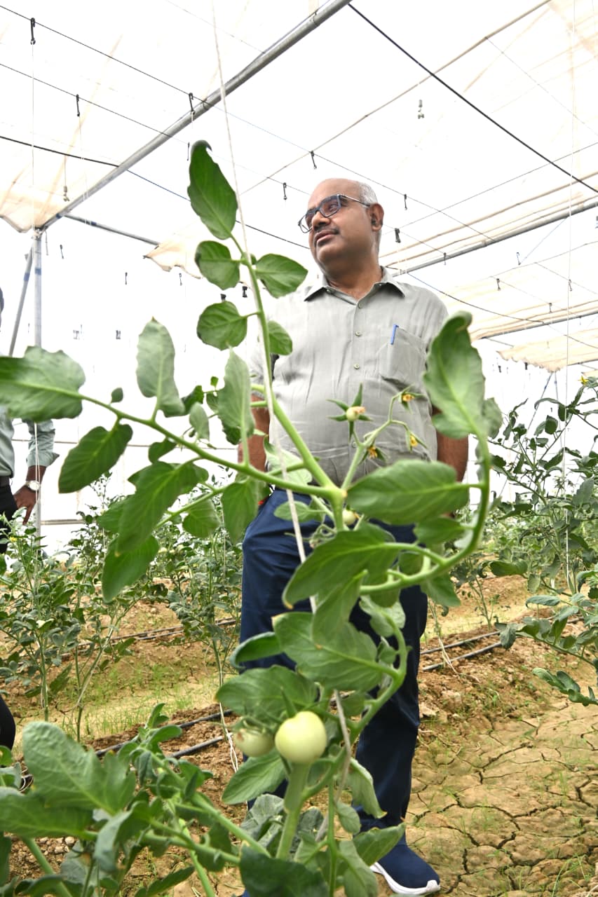 पॉलीहाउस और ड्रिप सिंचाई से बदल रही खेती की तस्वीर, किसानों की आय में बड़ा इजाफा
