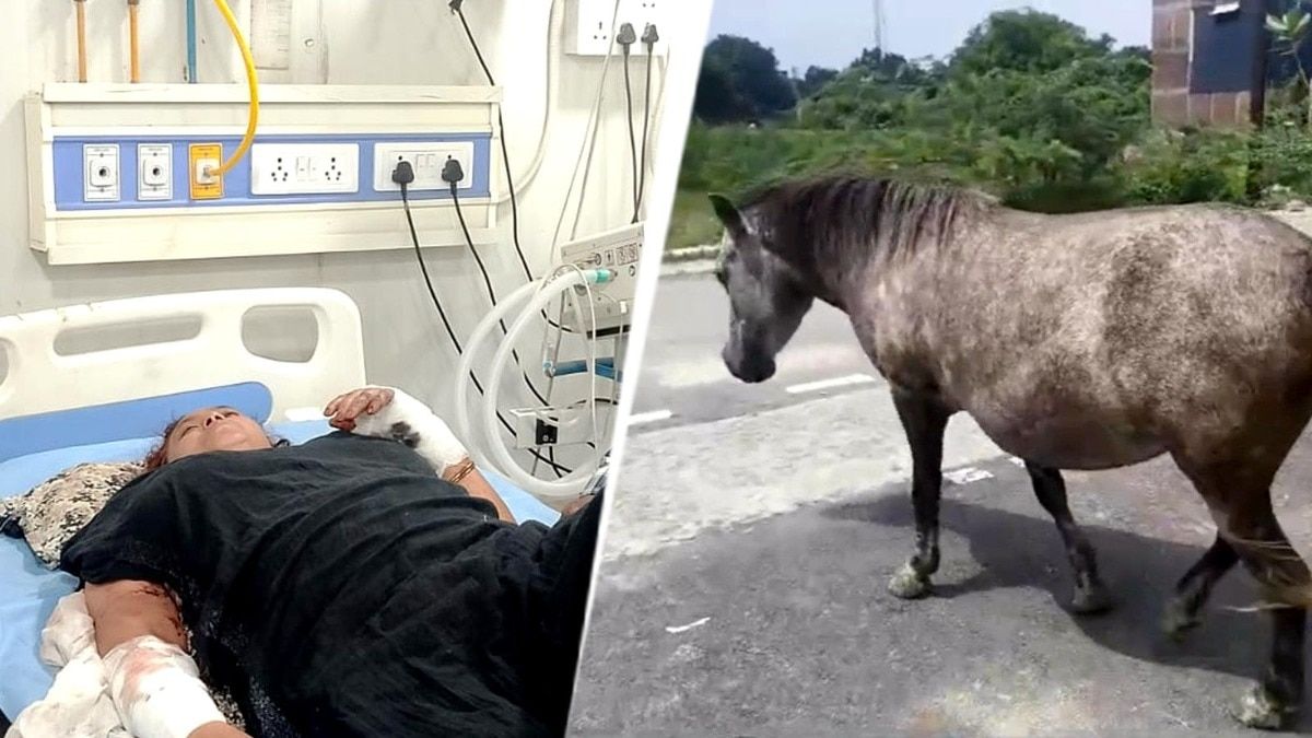 कानपुर में घोड़े द्वारा आधा दर्जन लोगों को काटने के बाद आक्रोशित भीड़ ने पीट-पीटकर कर दी हत्या