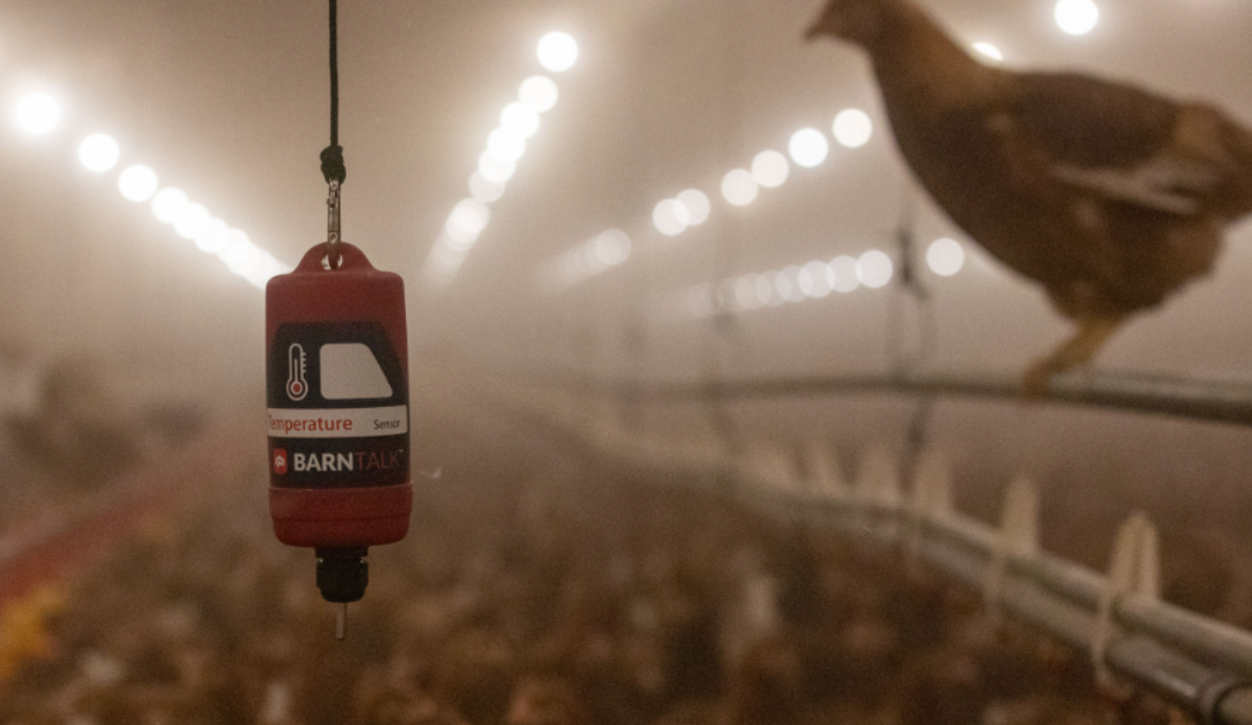 Internet Enabled Temp Sensor BarnTalk