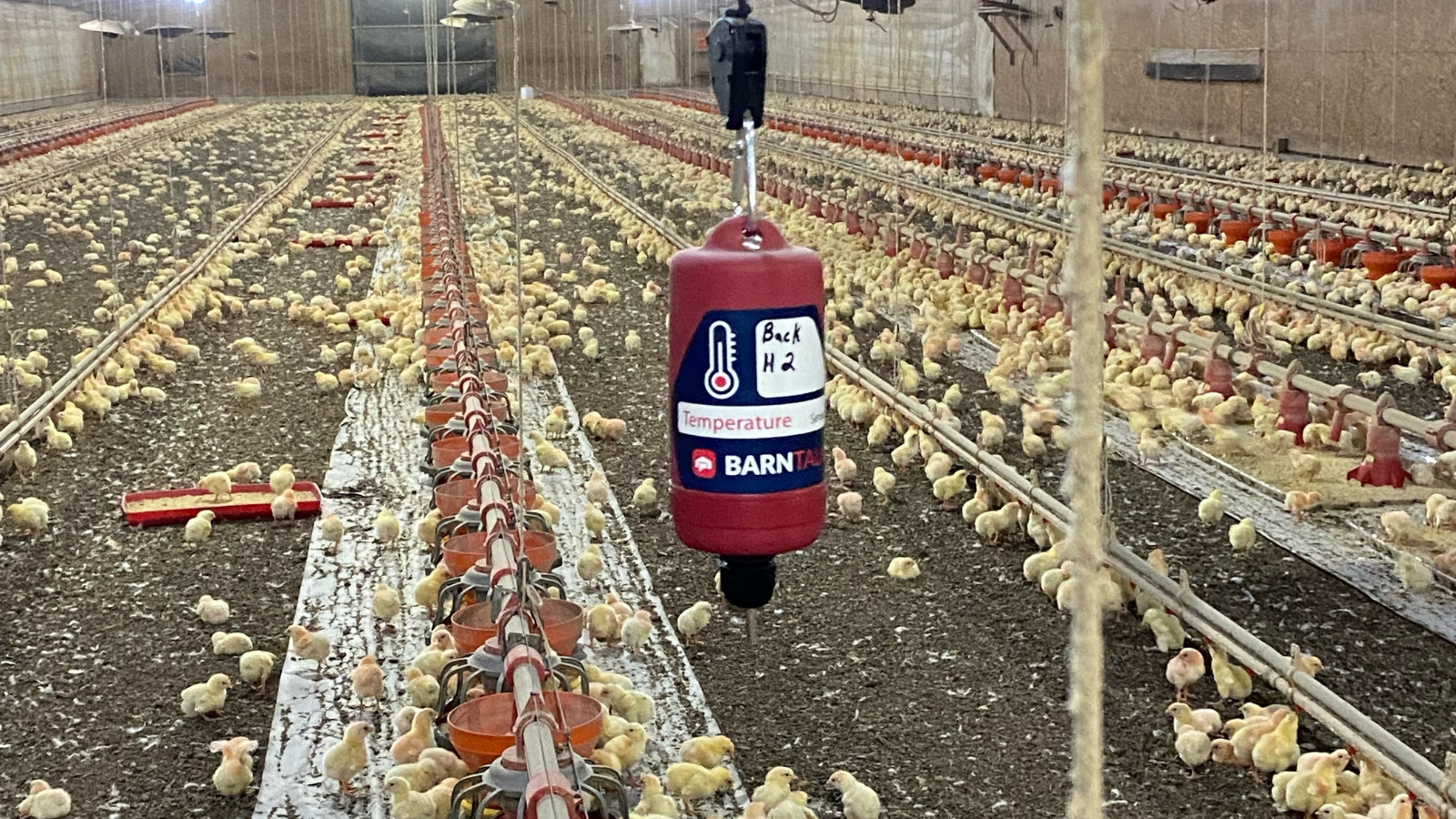 temperature sensor in chicken house