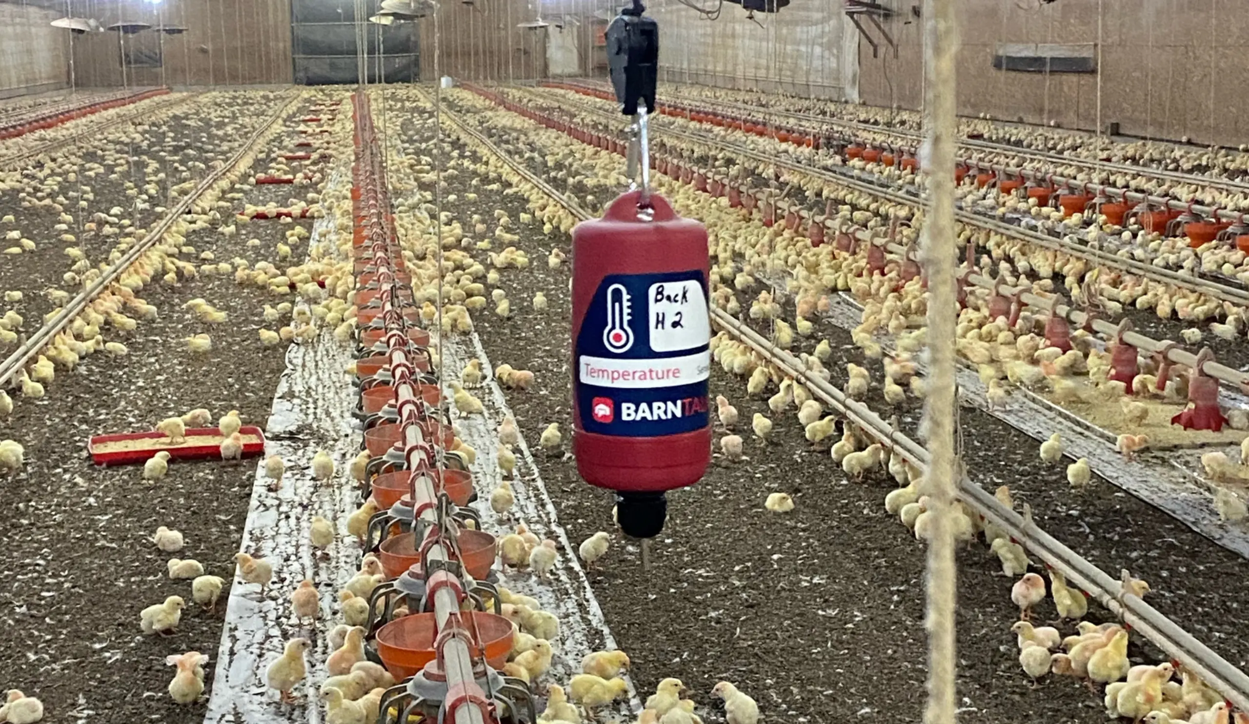 temperature sensor in chicken house