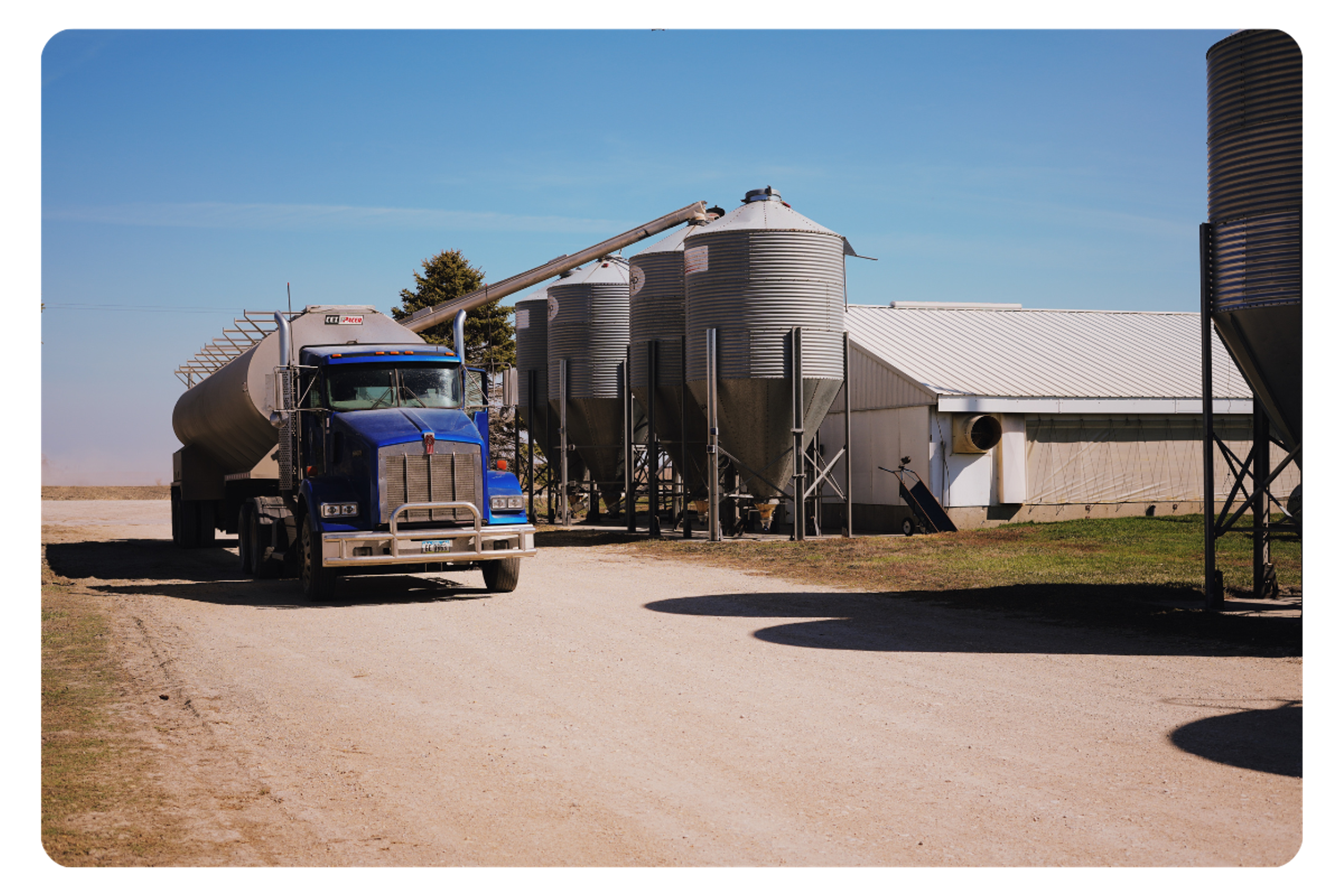 Blue Feed Truck Filling