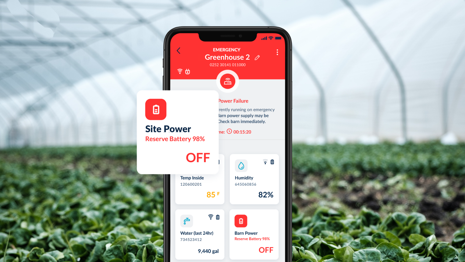 BarnTalk app in greenhouse