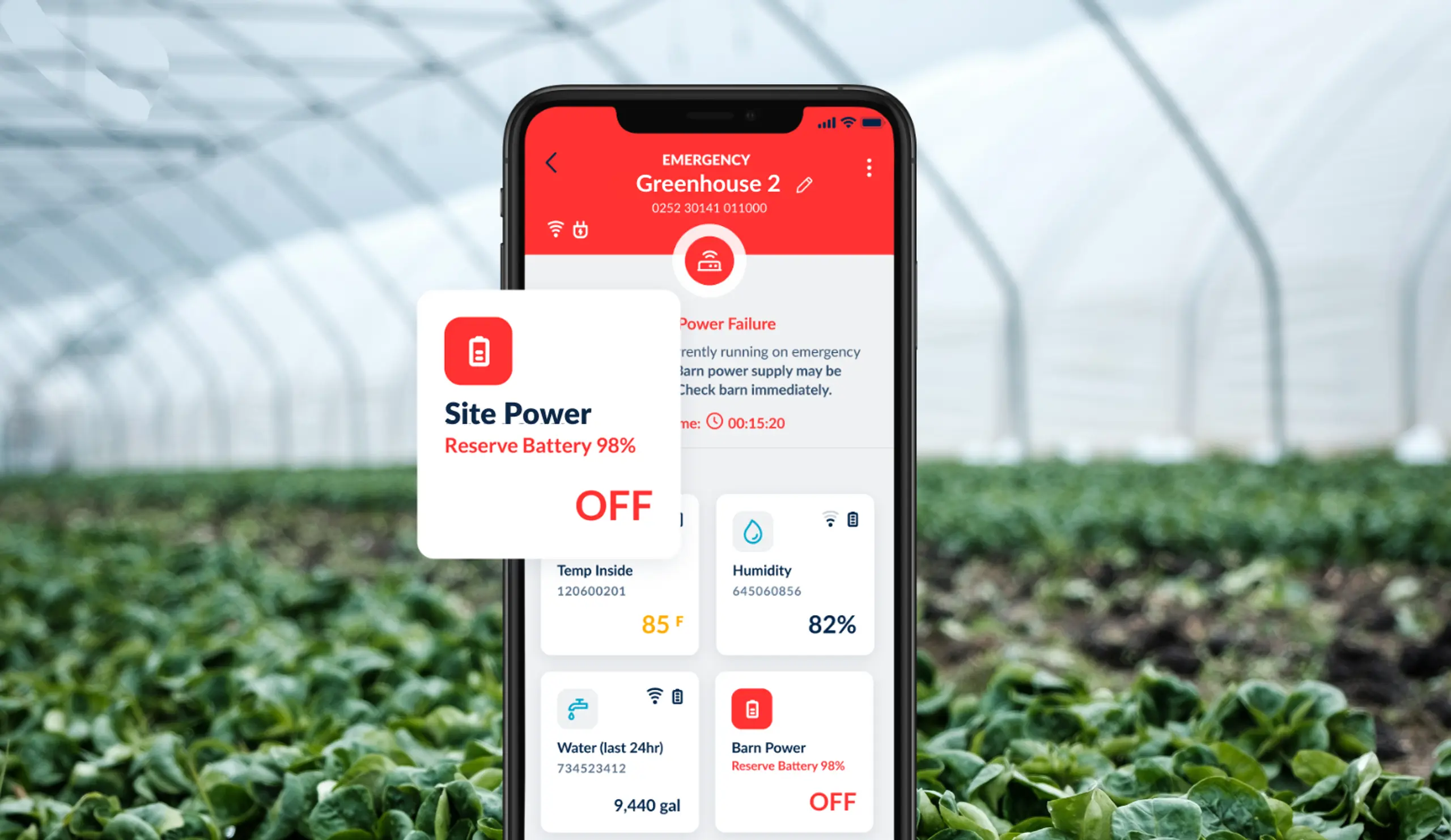 BarnTalk app in greenhouse
