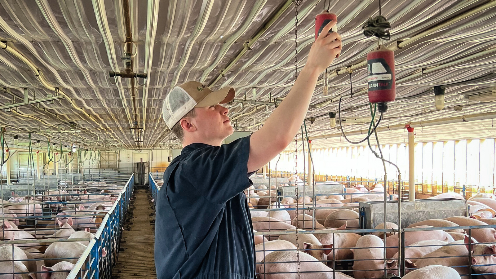 Sawyer Whisler This'll Do Farm BarnTalk