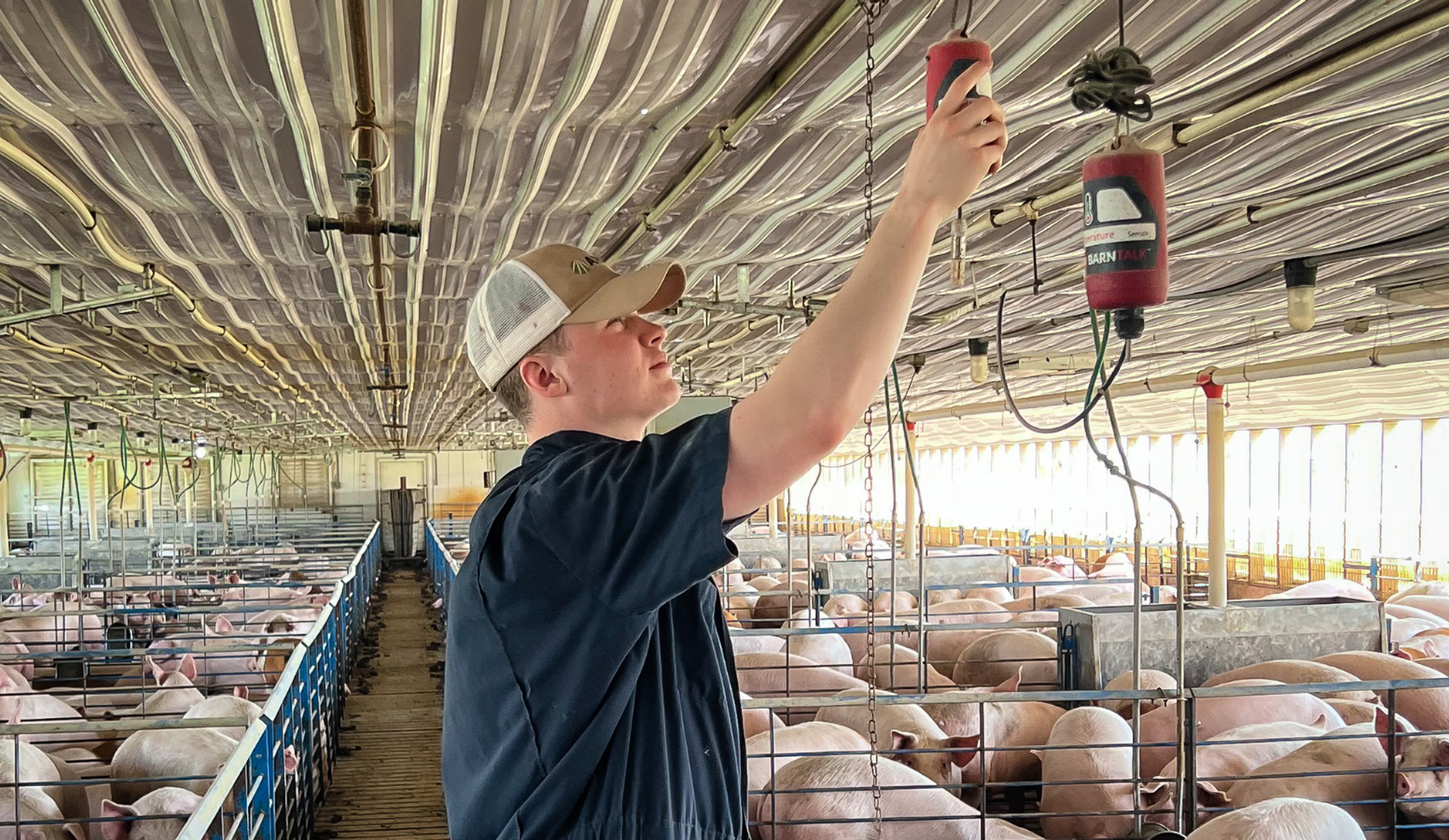 Sawyer Whisler This'll Do Farm BarnTalk