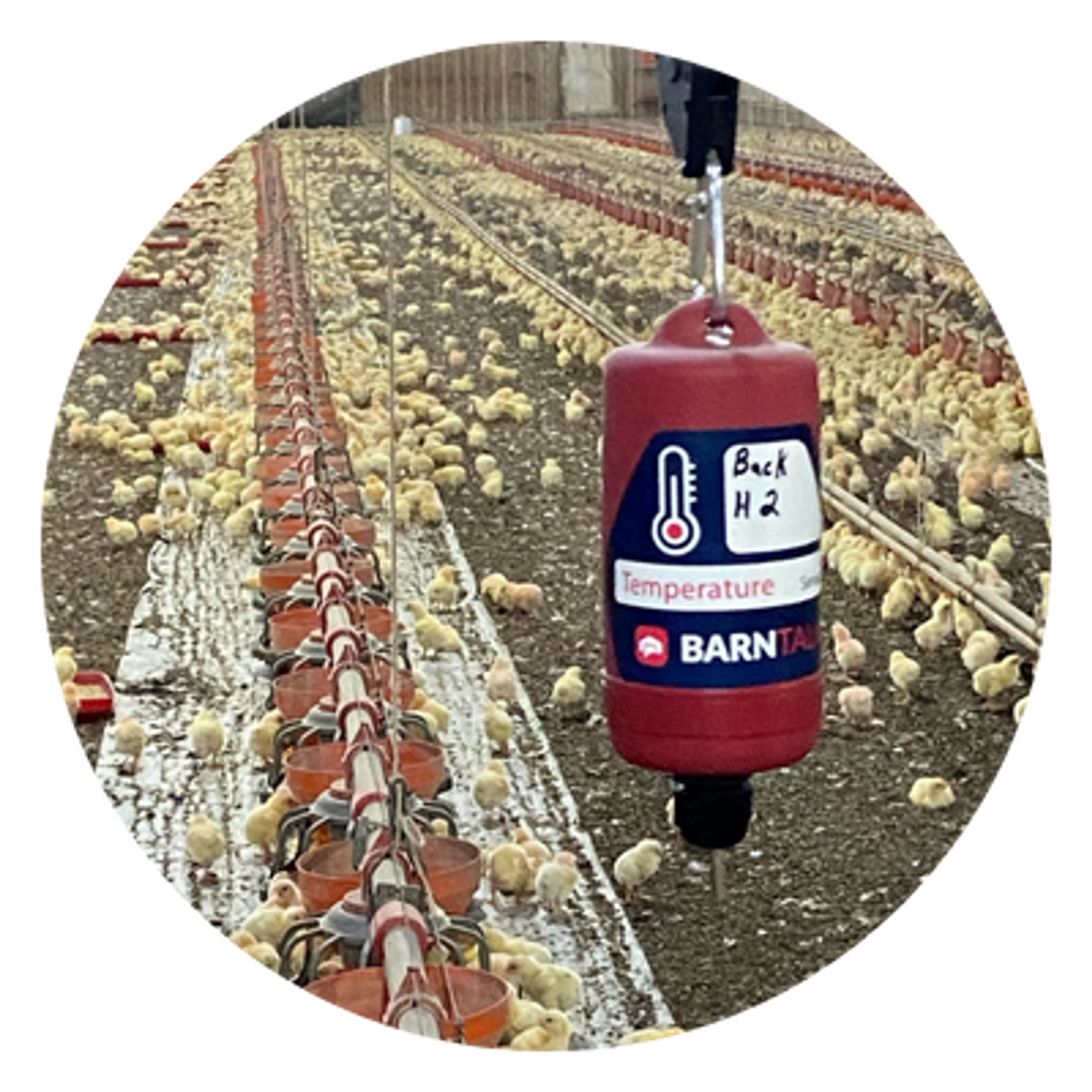 BarnTalk Temp Sensor Poultry House