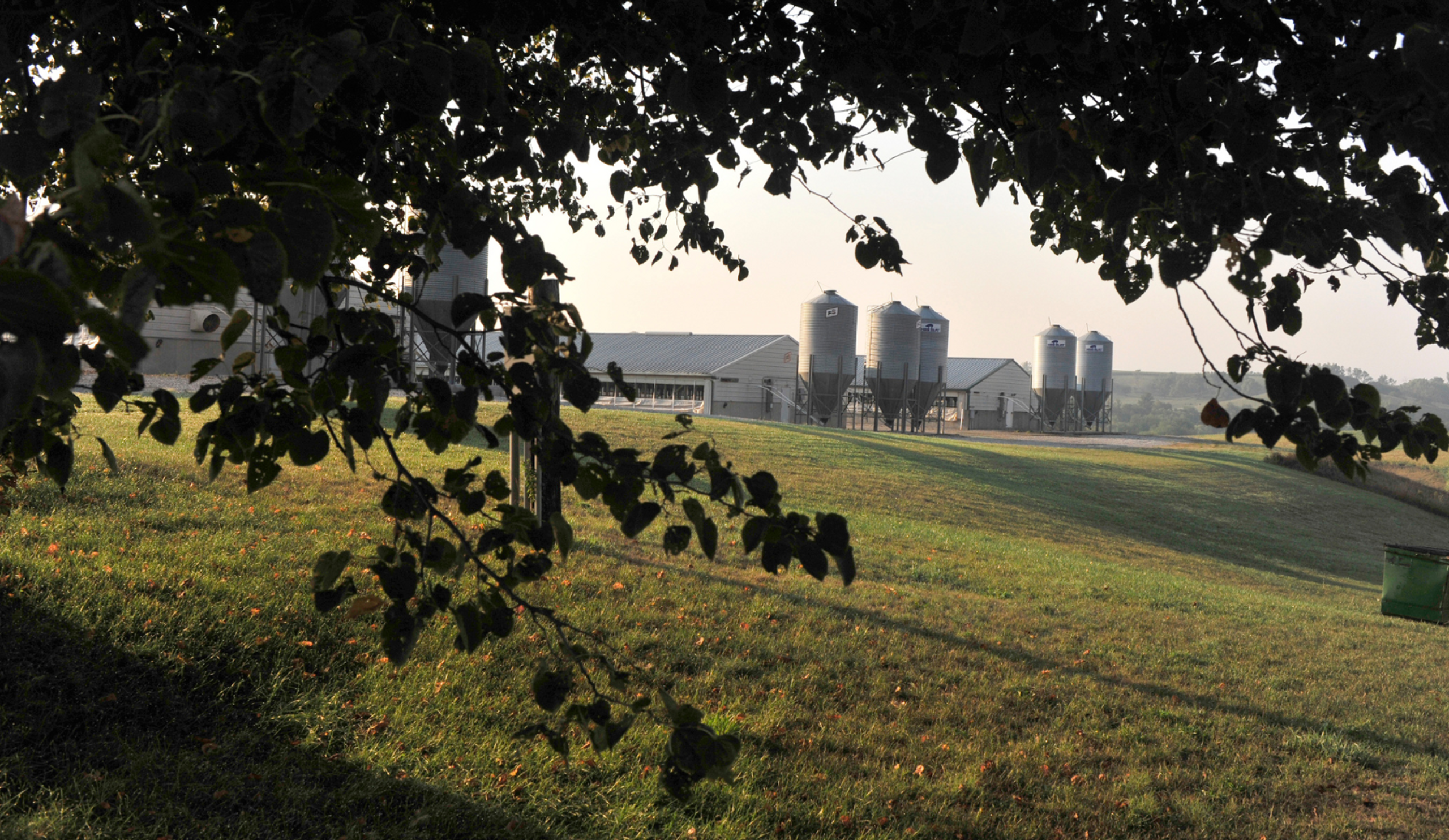Feed Bins Background 1