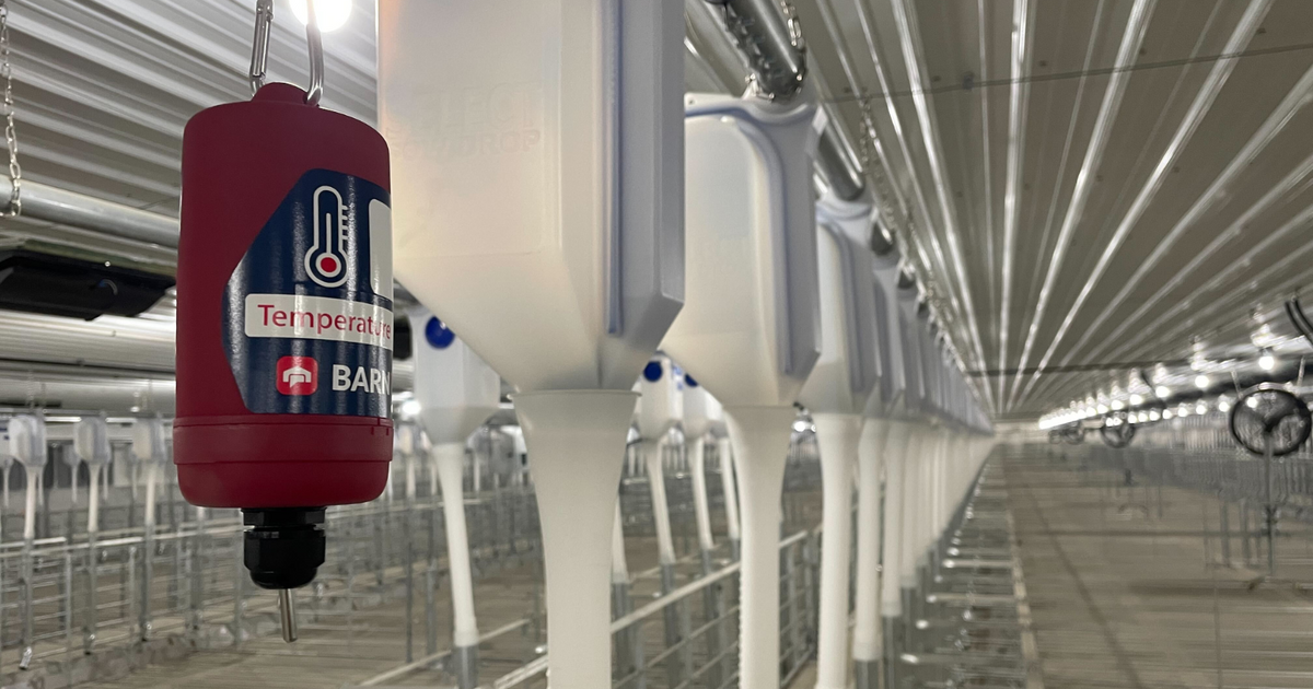 Monitor Temperature, Humidity Remotely without WiFi BarnTools