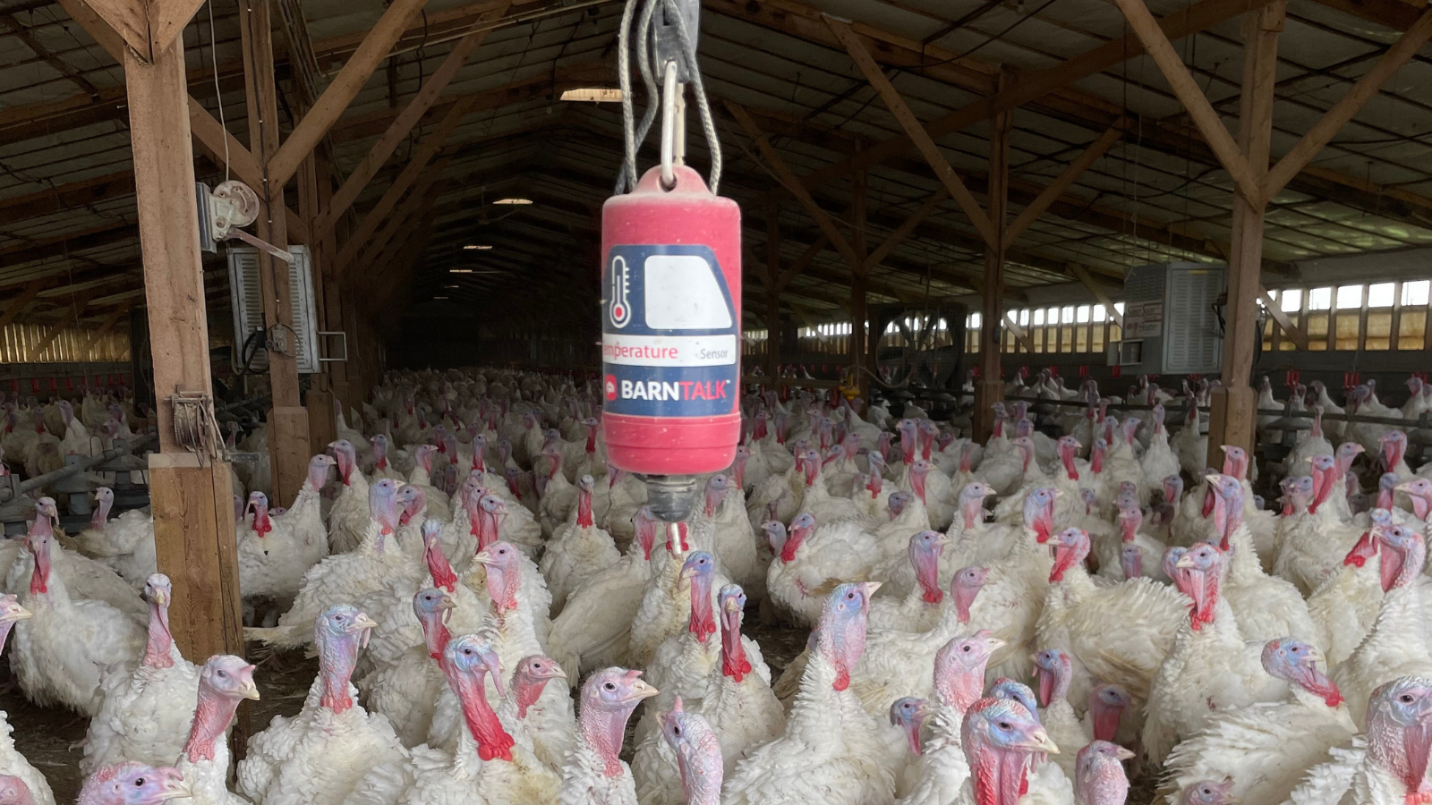 Todd Clark Temp Sensor