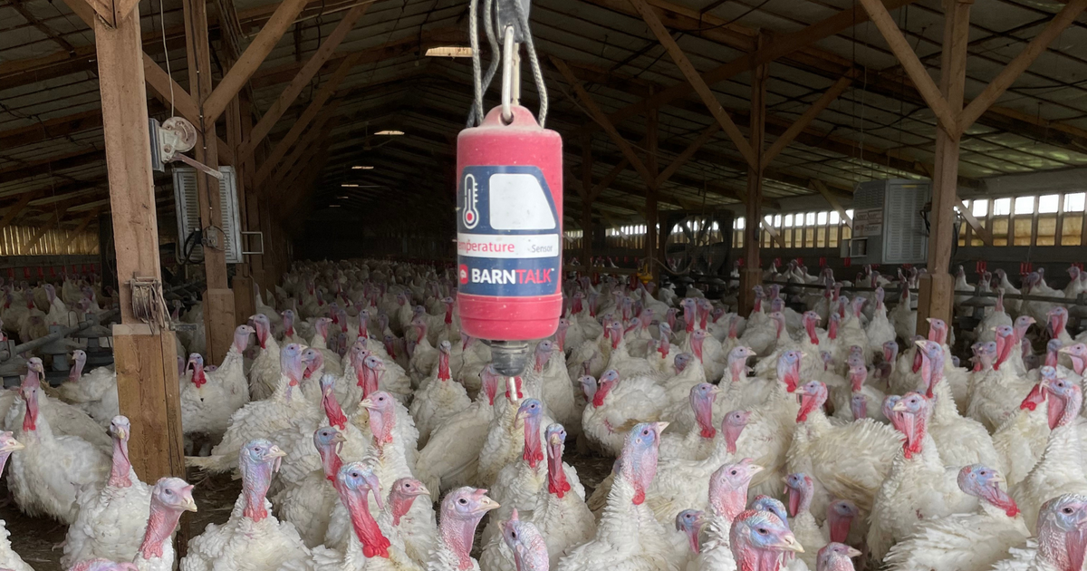 Resting Easy with Wireless Barn Monitoring | BarnTools