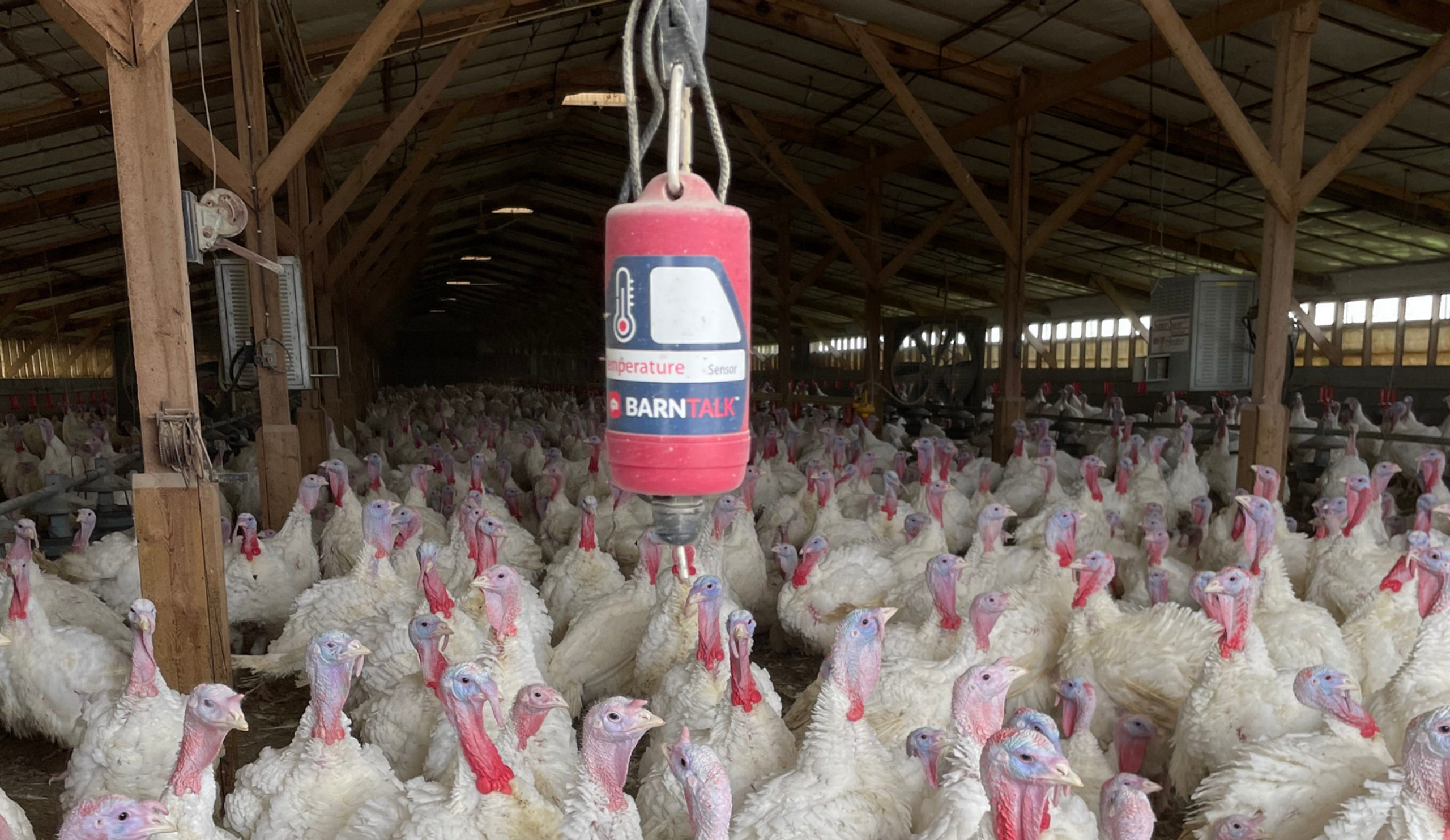 Todd Clark Temp Sensor