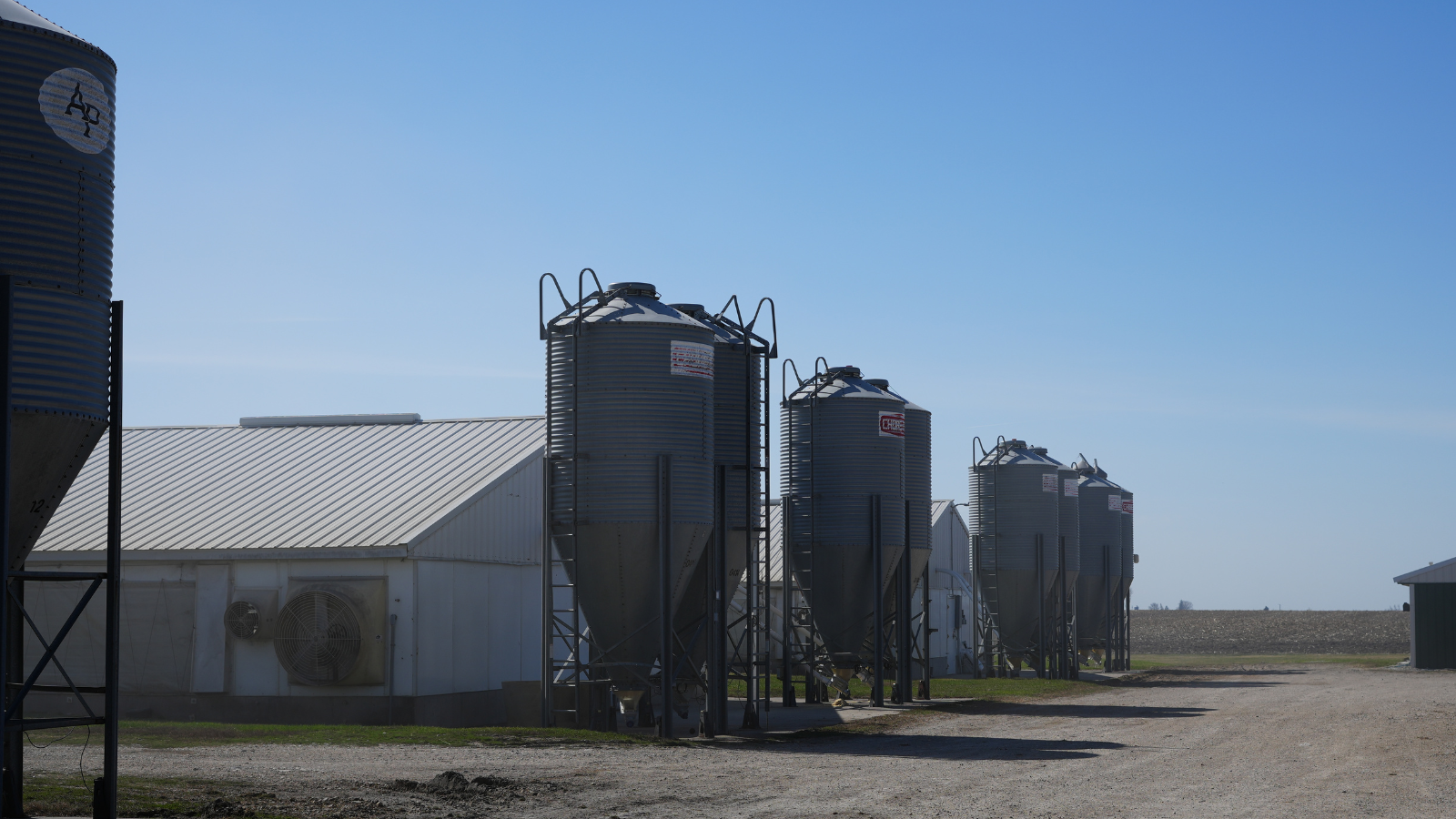 Feed Bins on Farm
