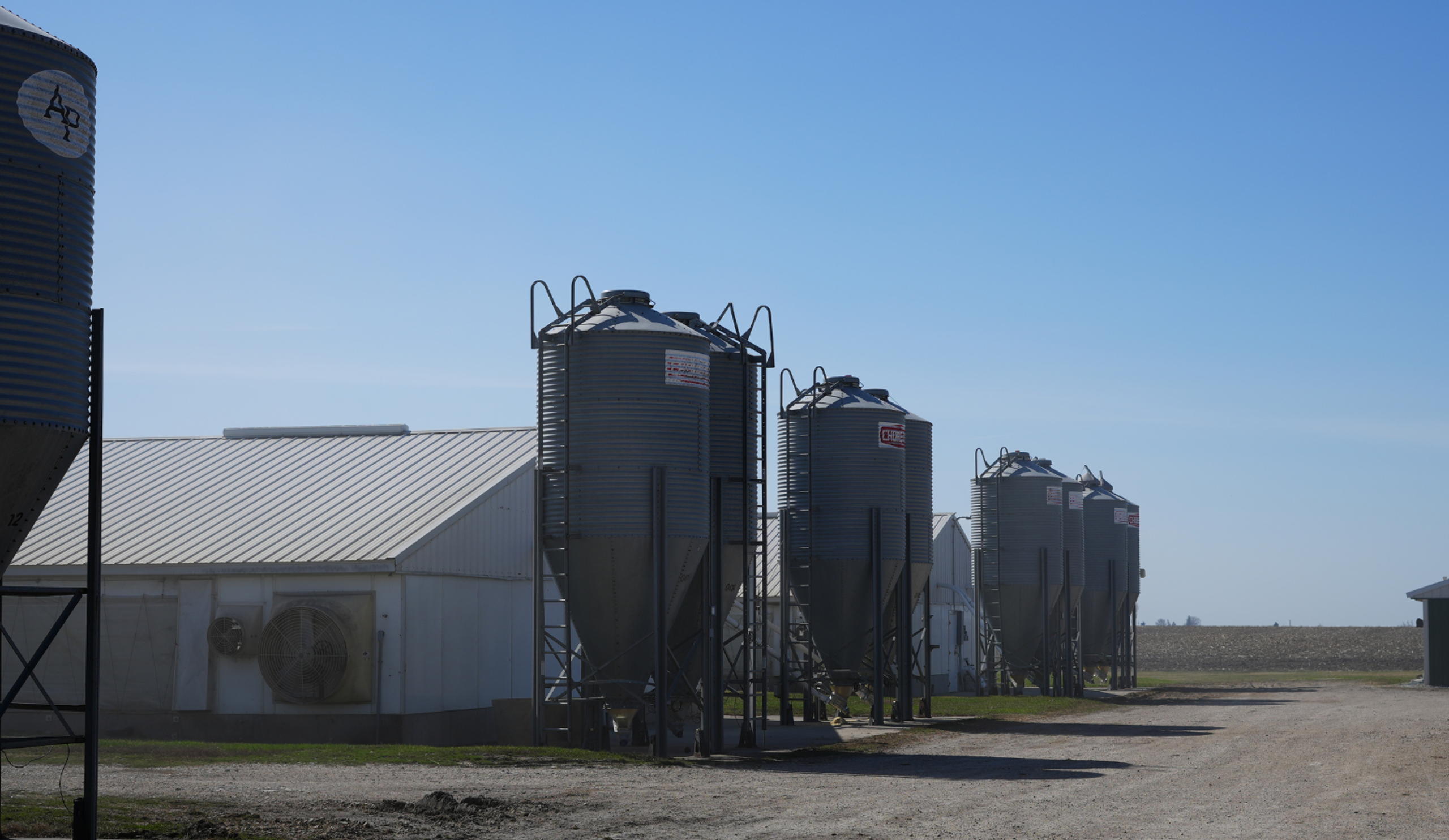 Feed Bins on Farm