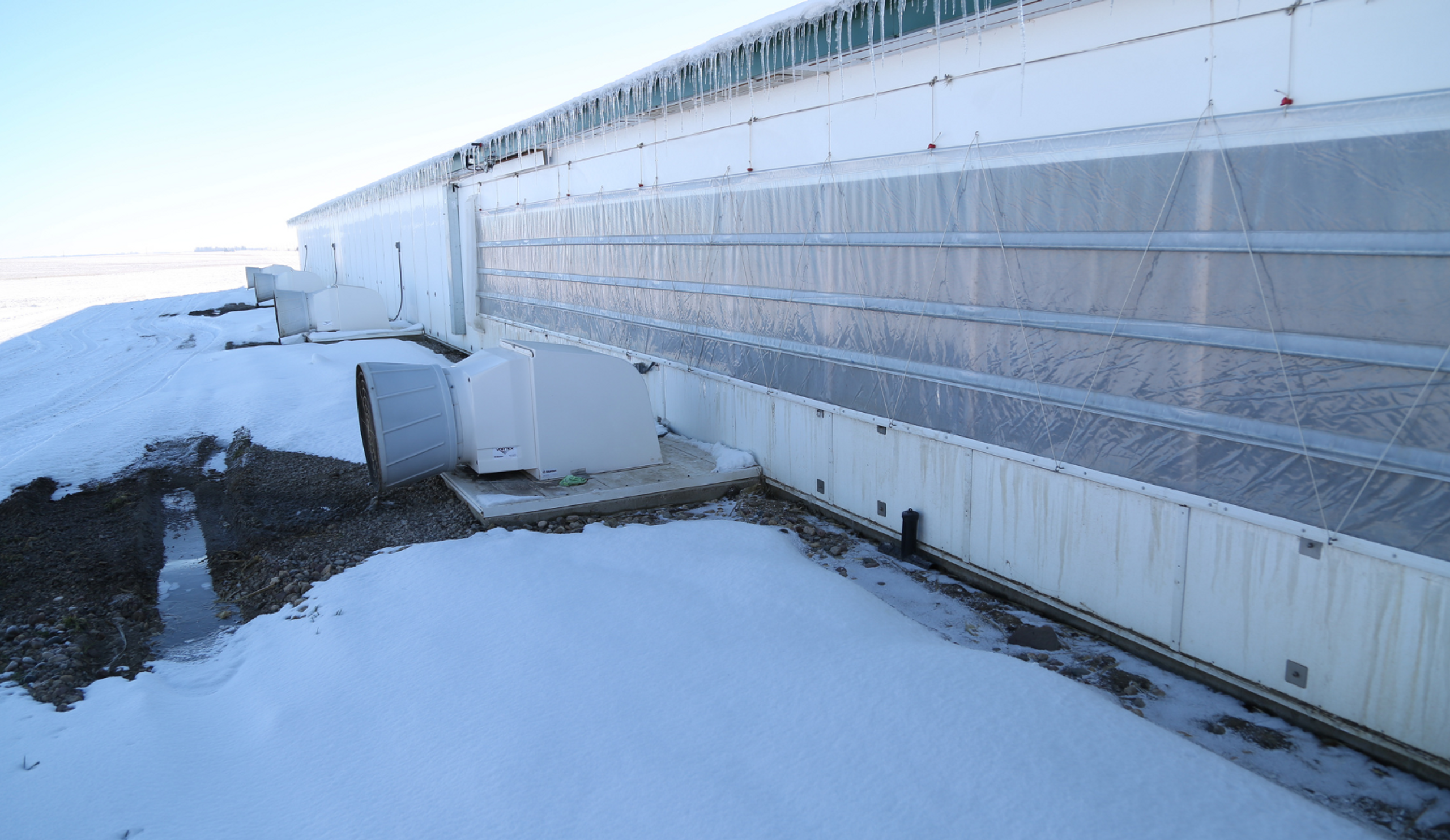 Snowy Barn and Curtains