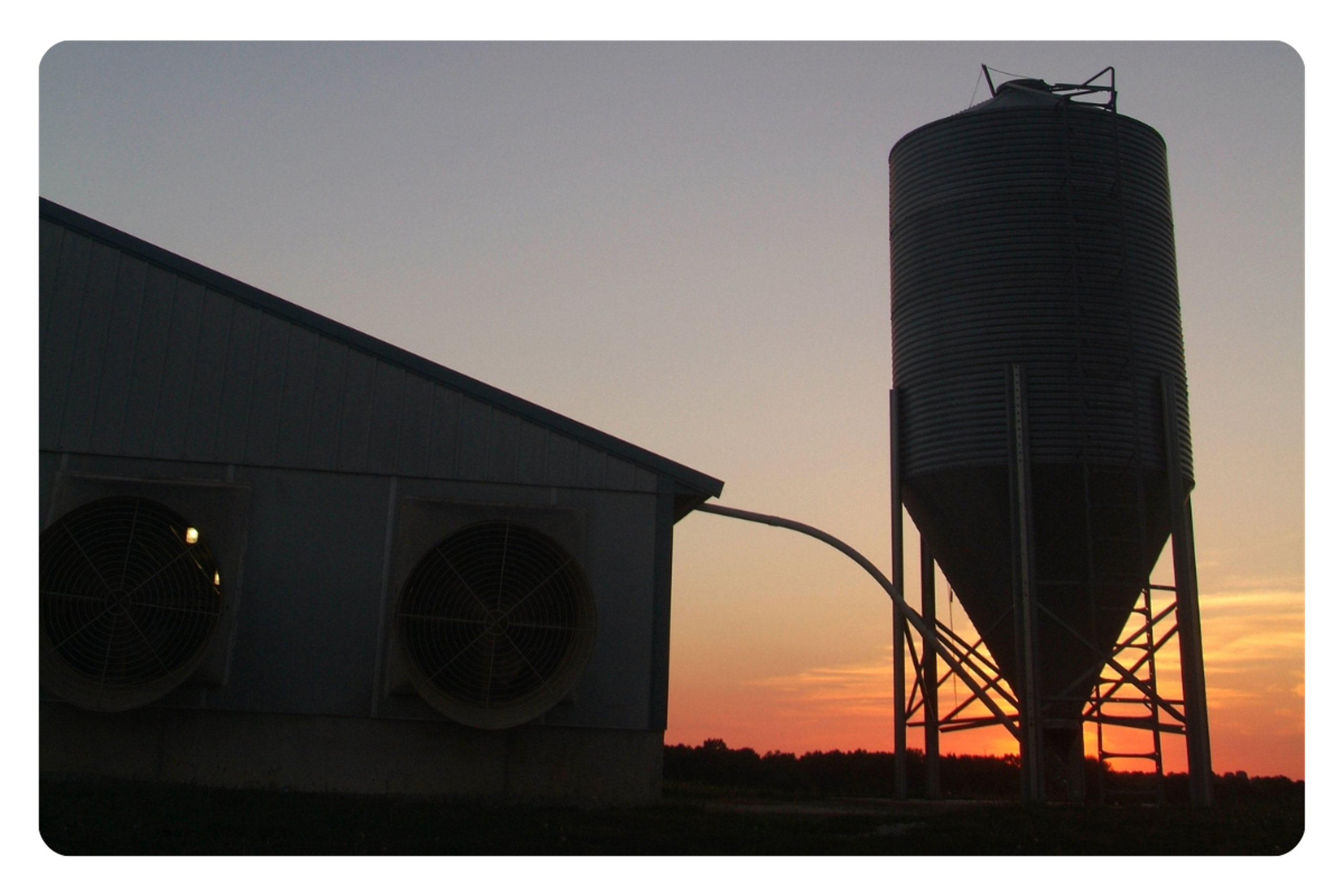 Feed Bin Sunset FCR