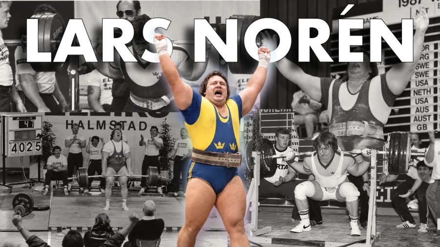 Lars Norén – Profile