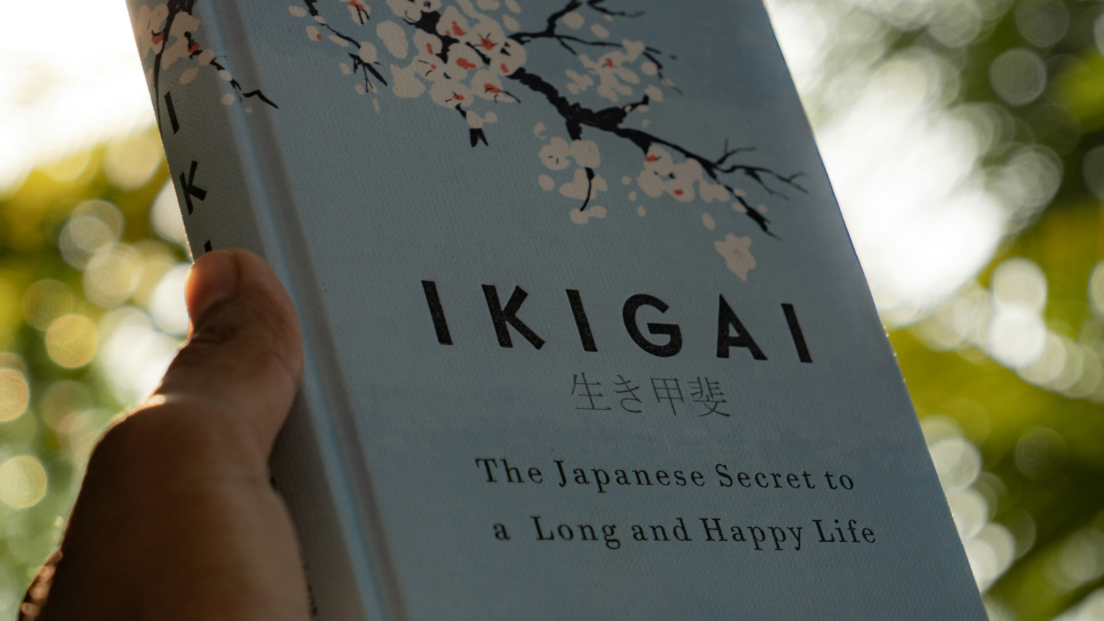 Ikigai, Japanese, Long life.