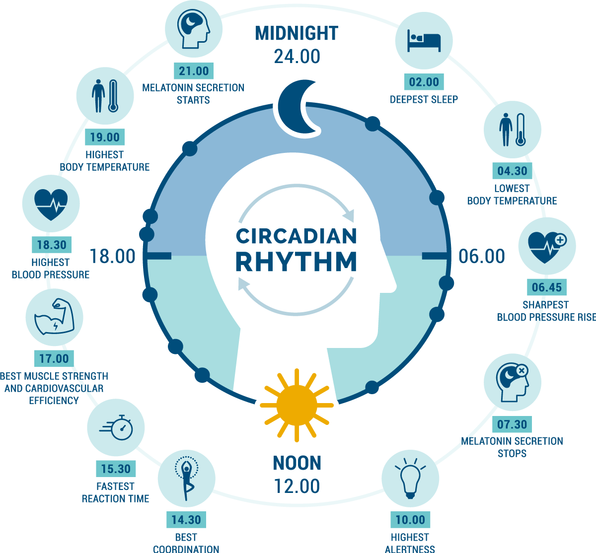 Lighting in sync with your circadian rhythm improves health and wellbeing Lighting in sync with your circadian rhythm improves health and wellbeing