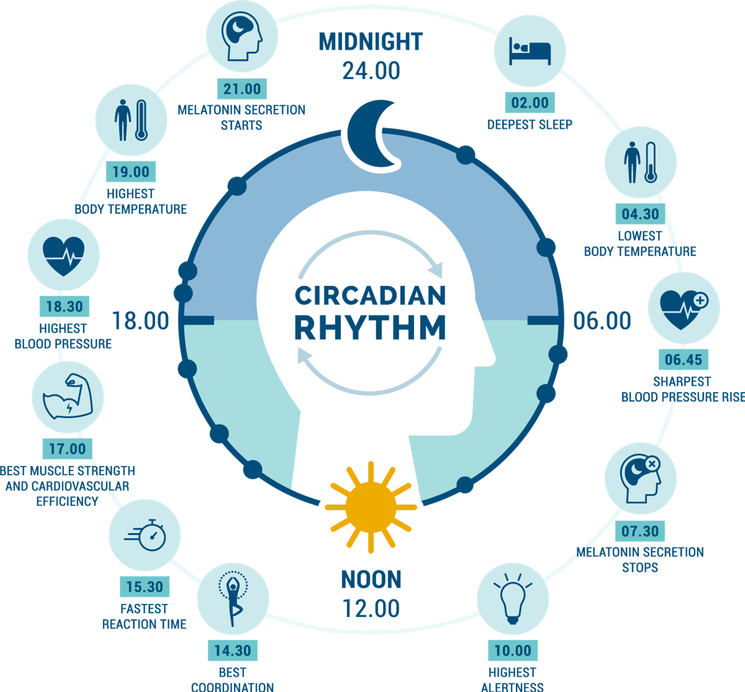 Lighting in sync with your circadian rhythm improves health and wellbeing