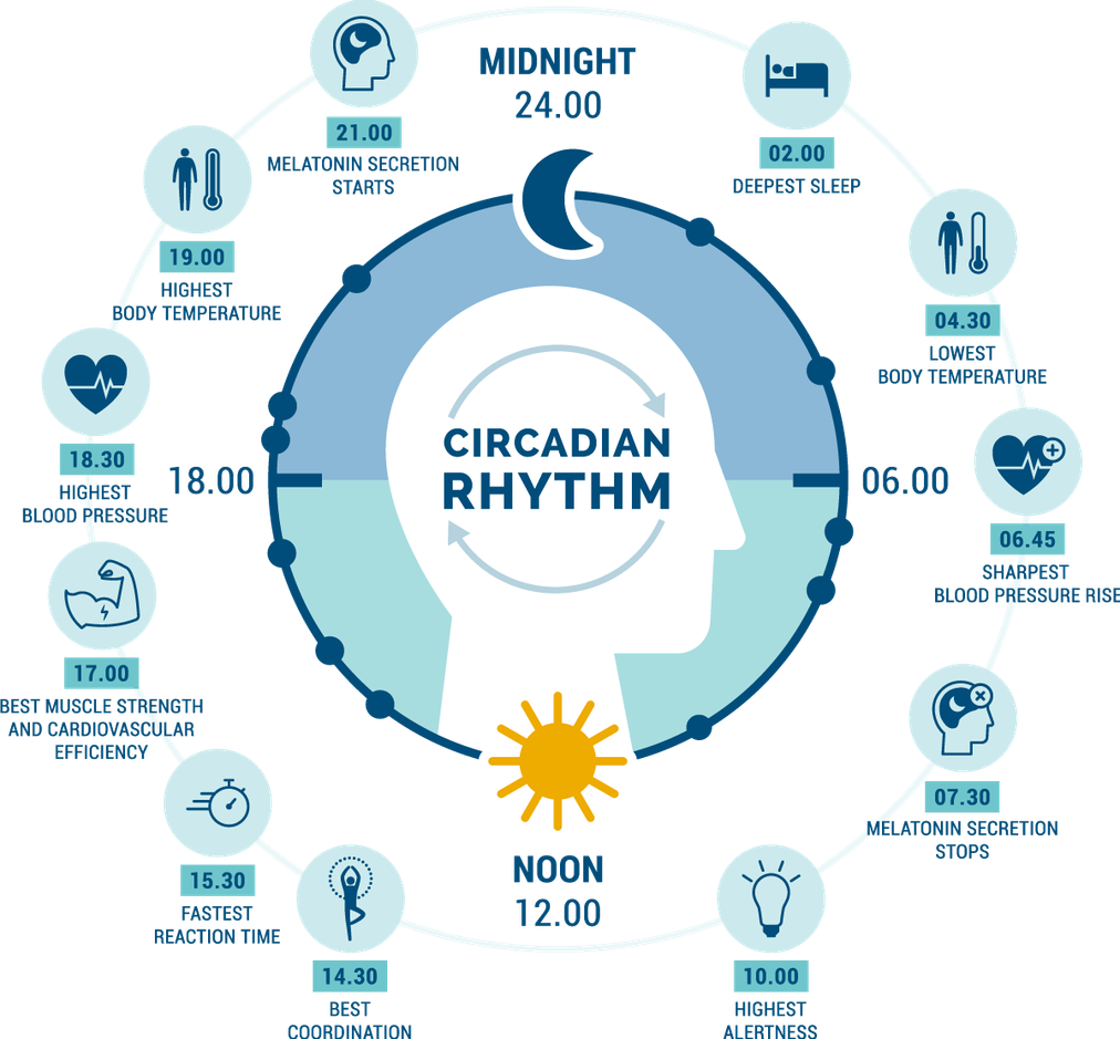 Lighting in sync with your circadian rhythm improves health and wellbeing Lighting in sync with your circadian rhythm improves health and wellbeing