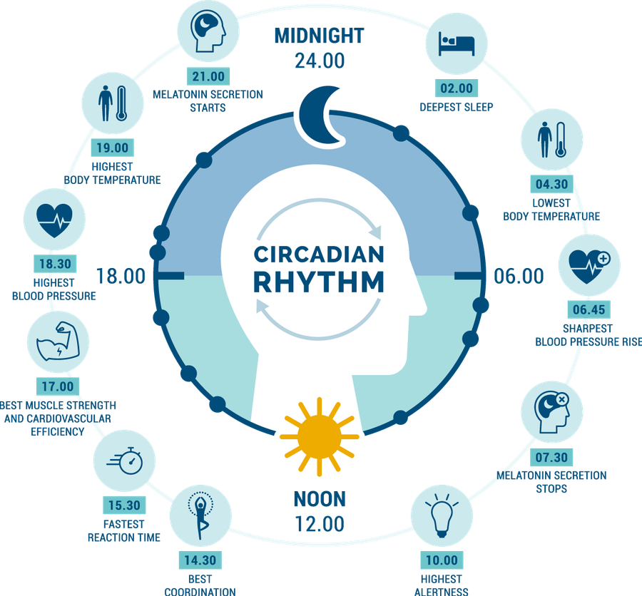 Lighting in sync with your circadian rhythm improves health and wellbeing Lighting in sync with your circadian rhythm improves health and wellbeing