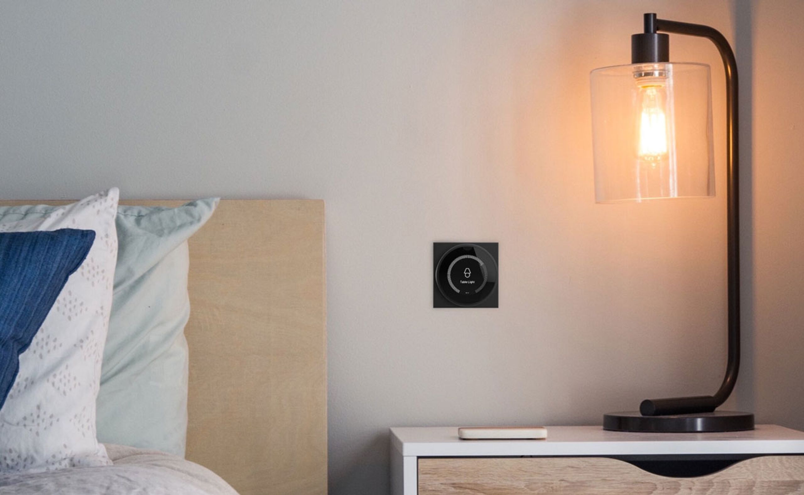 Tyba Turn 2 controller with optional wallplate