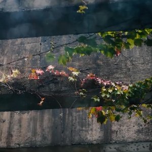 THE DEEP END thumbnail background