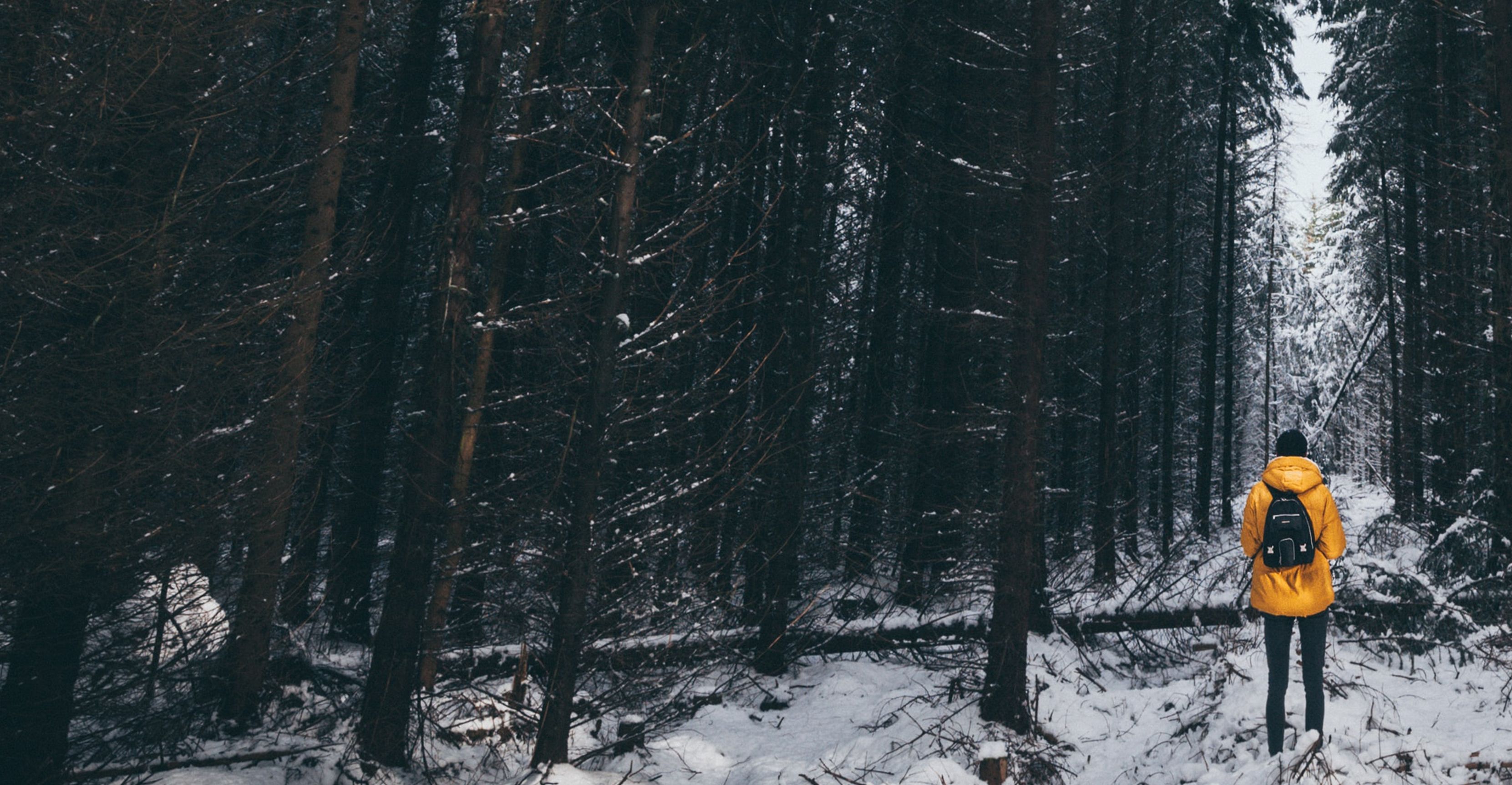 EPA/CSA Standard: Everything You Need to Know for Wood Heating 