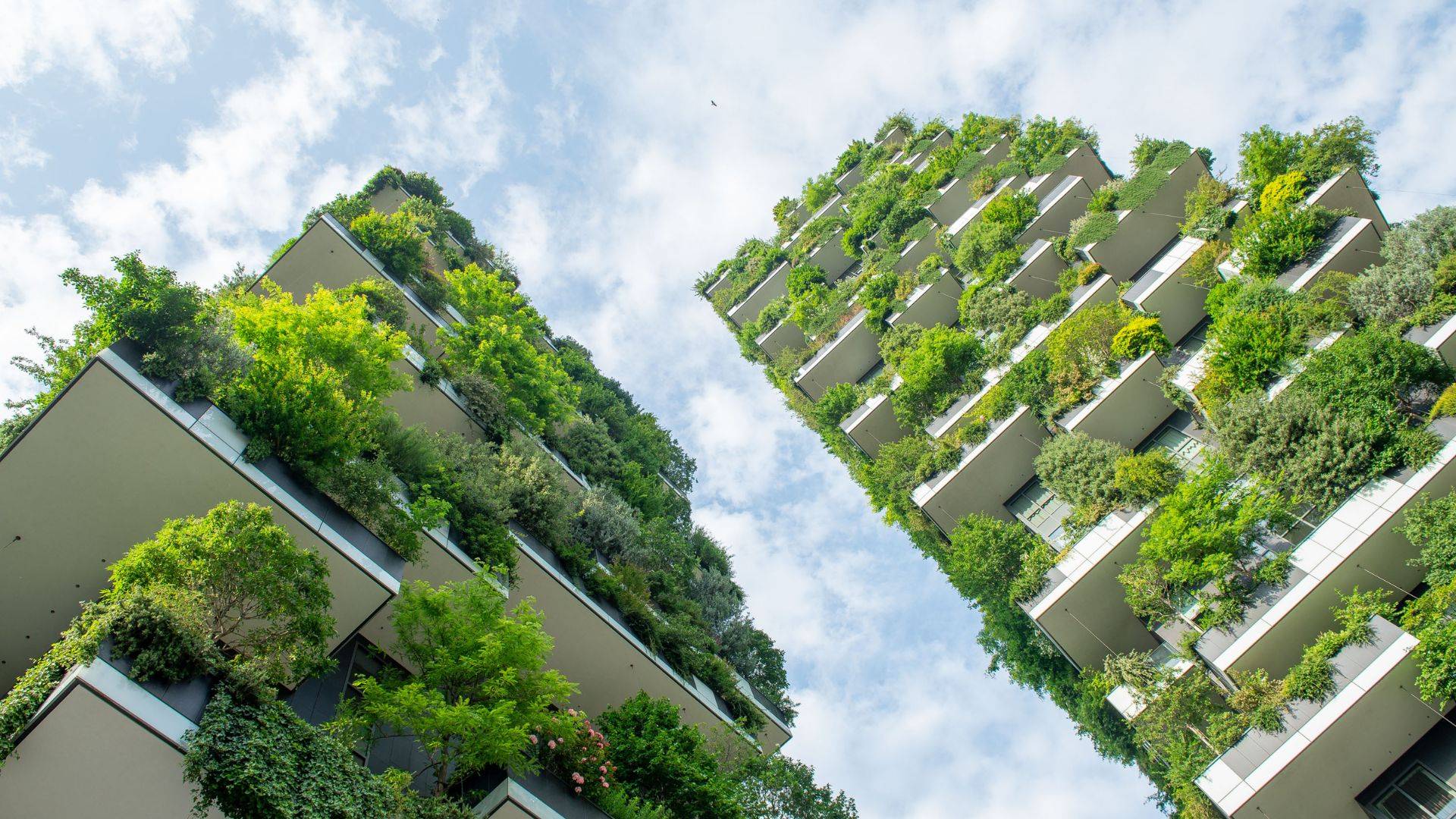 Arredamento ecosostenibile: cosa possiamo fare?