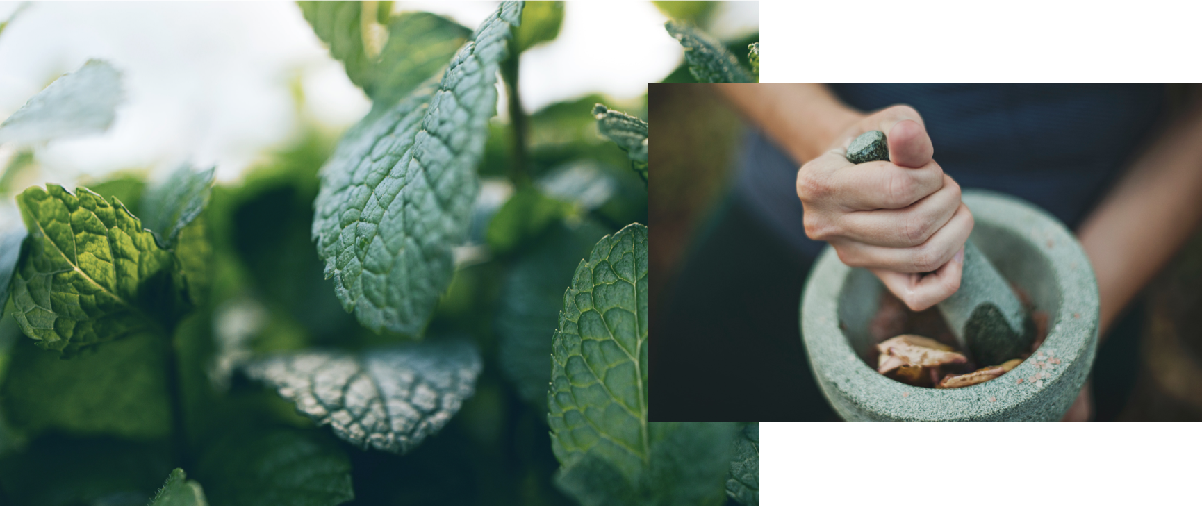 Left: Mint leaves. Right: Hands muddling leaves with mortar and pestle.