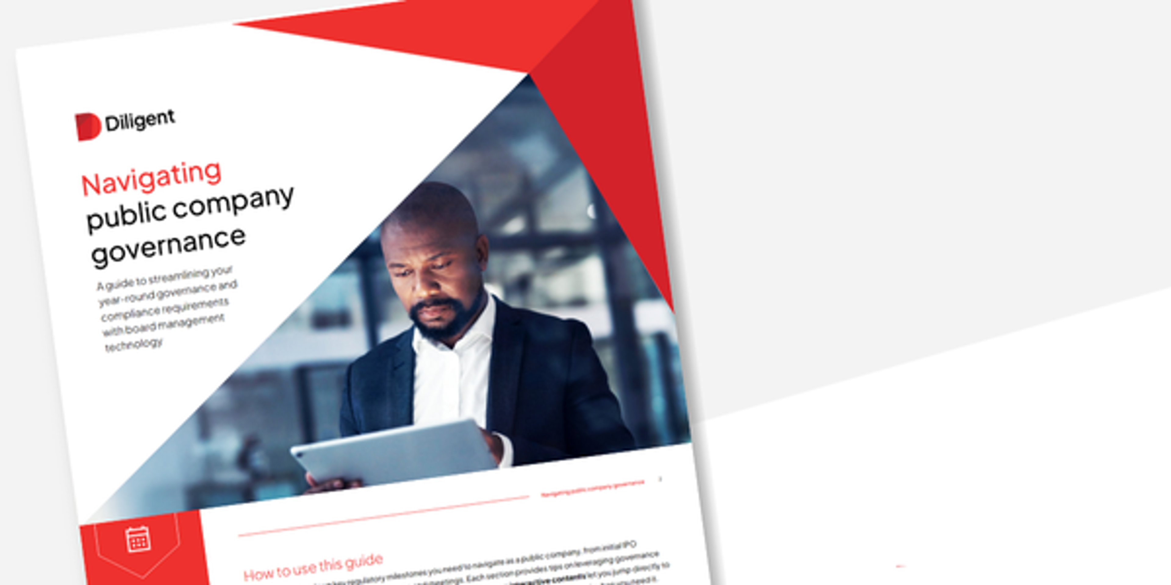 The public company governance guide