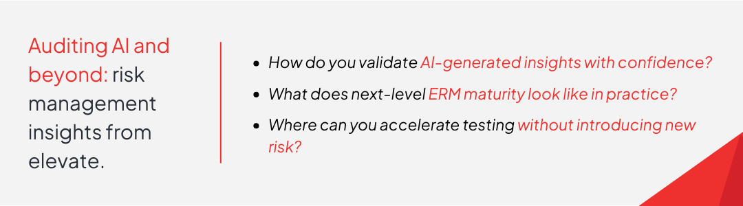 Elevate 26_Auditing AI and beyond