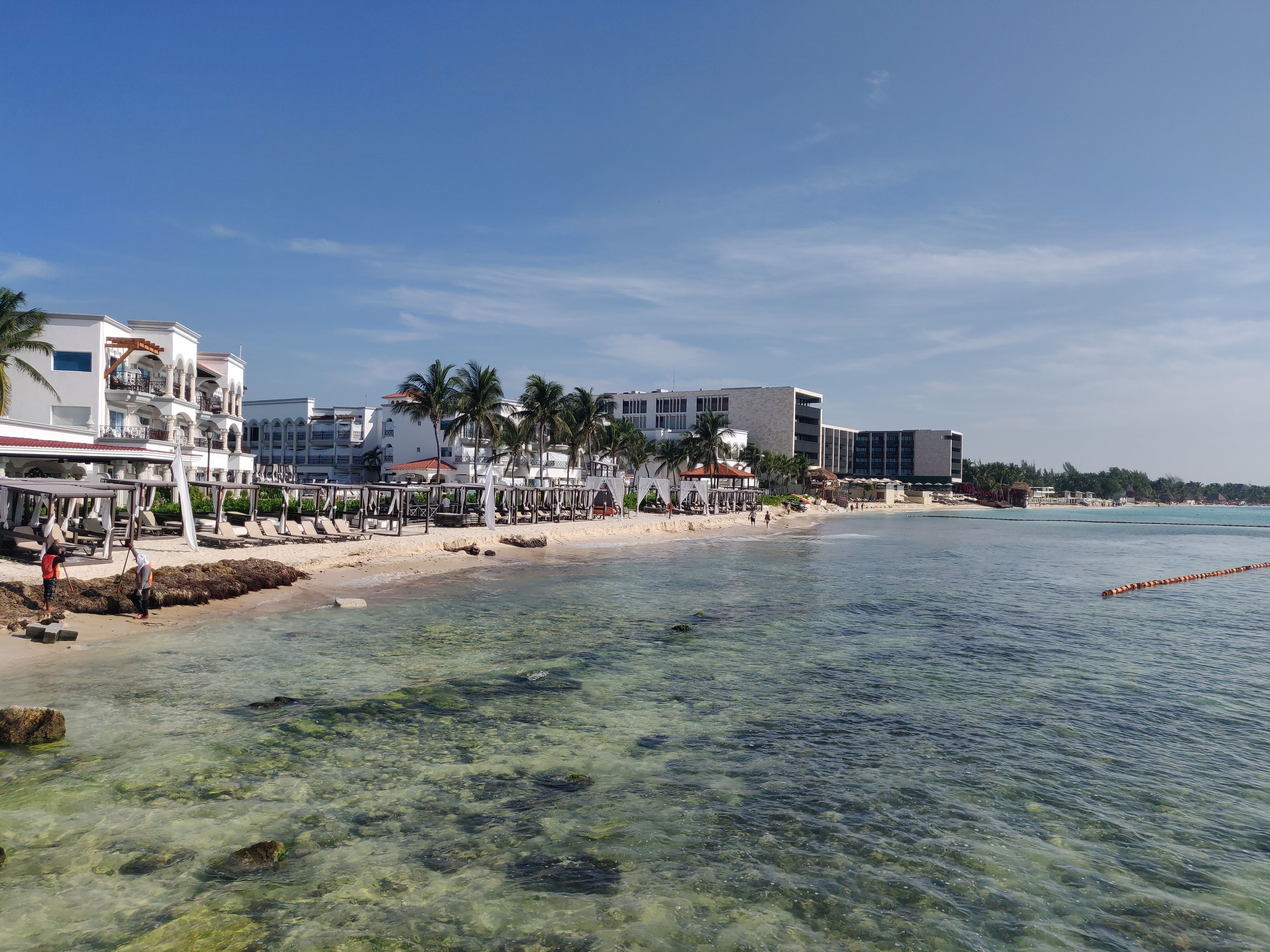 Muelle Constituyentes