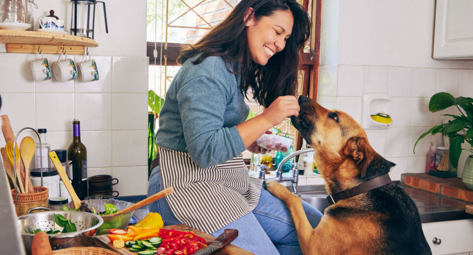 alt text: pet parent preparing a homemade dog meal