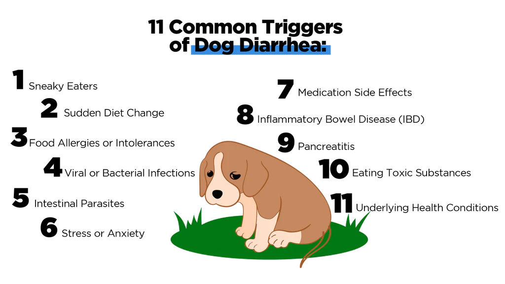 alt text: infographic showing different GI problem causes in dogs
