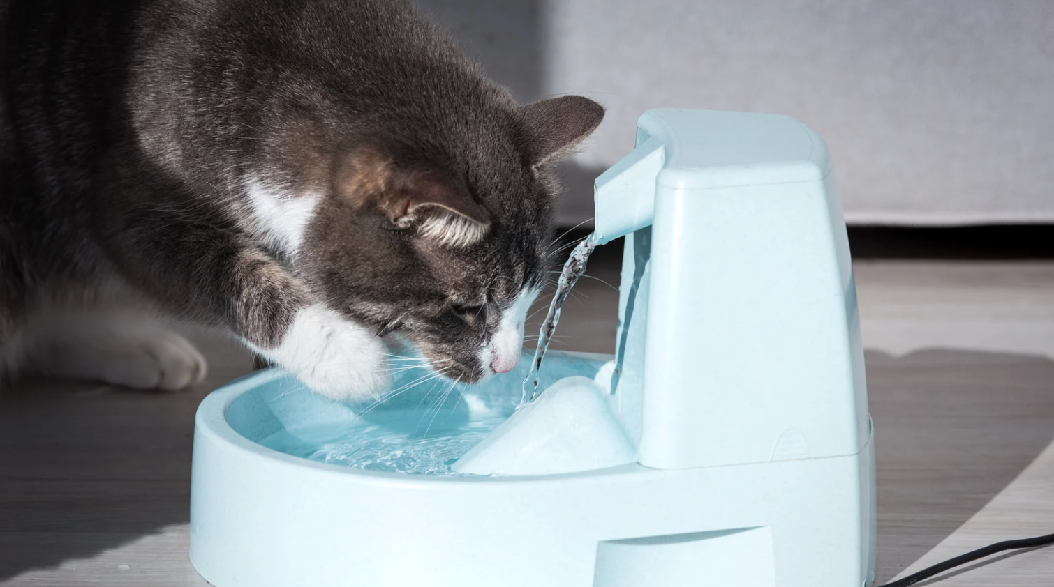 alt text: Dog drinking from a pet water fountain