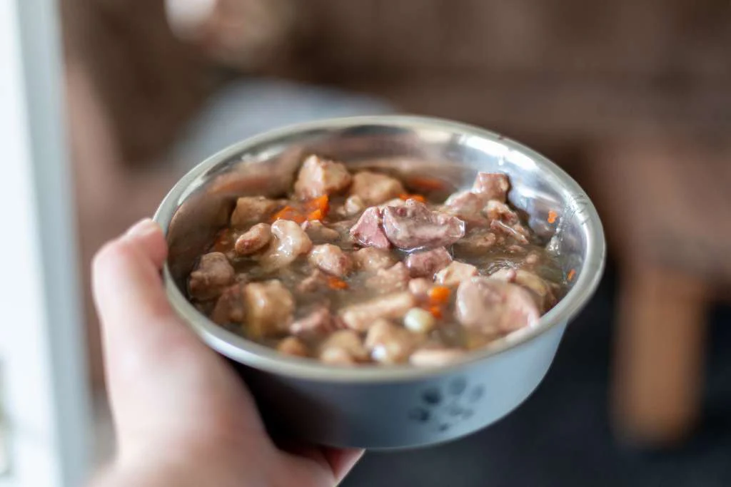 alt text: rehydrated dog food in bowl