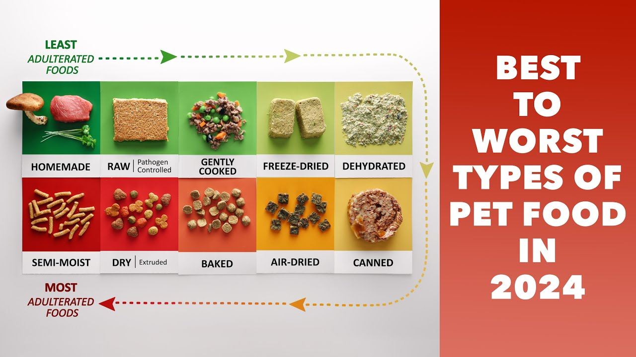 alt text: best pet food ranking chart for 2024