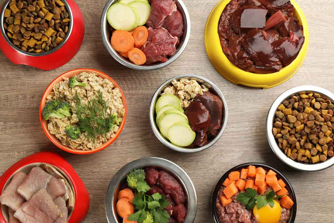Alt text: A variety of dog food options displayed, including kibble, wet food, raw food, and dehydrated food.