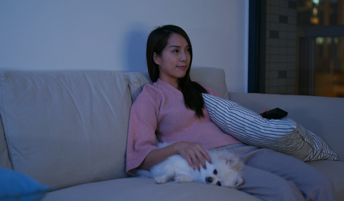 alt text: dog cuddled with blanket during storm