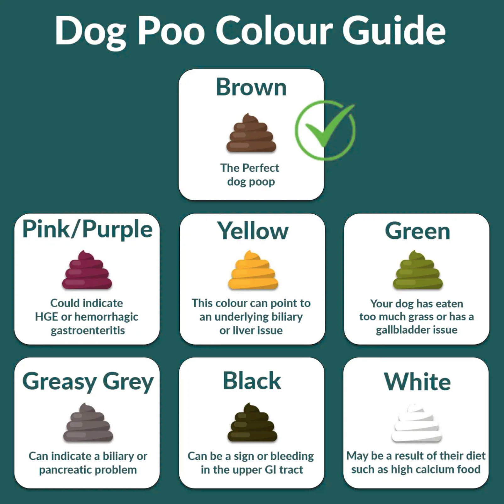 different colour indicating different health stage of your pet dog or cat. （Pets, pet food, pet diet, cat canned food, cat food, fresh pet food, freeze-dried pet food, pet probiotics，Pet food regulations in Hong Kong, Homemade fresh pet food, Fresh pet food in Hong Kong, Fresh pet food ratio, Fresh pet food packs, Fresh pet food courses, Fresh pet food pack recommendations (PTT), Fresh pet food recipe books, Fresh pet food packs for dogs in Hong Kong, Fresh pet food pack recommendations for dogs）