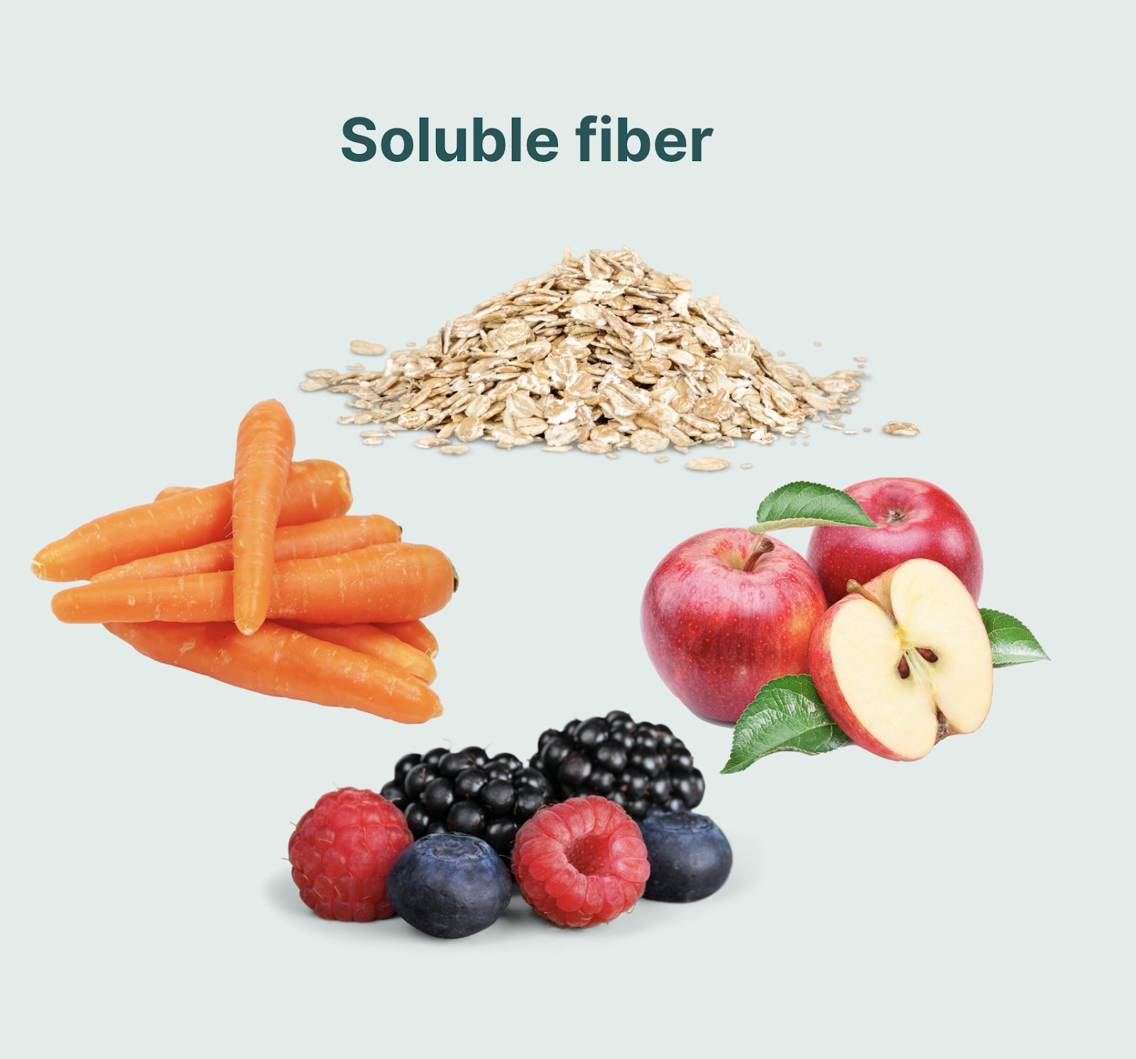 alt text: Example of soluble fiber food for dog