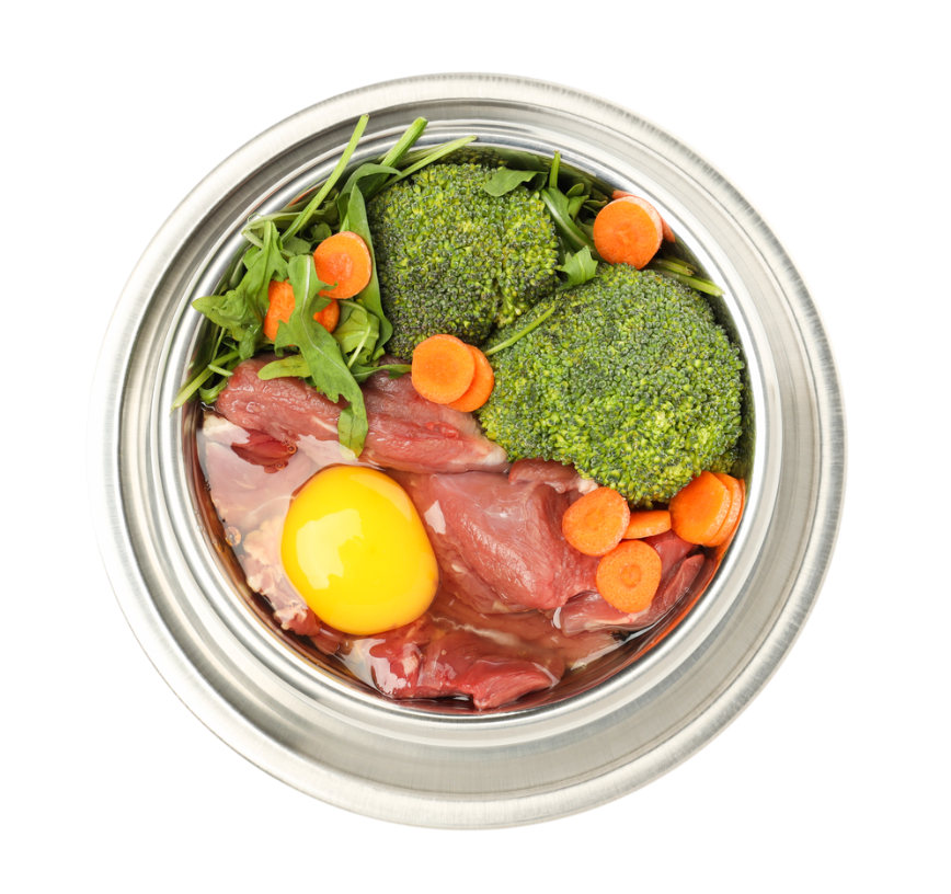 alt text: raw dog food in stainless bowl