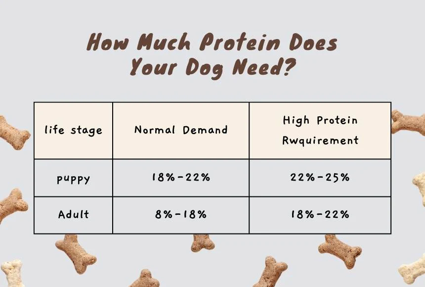 alt text: protein-to-bodyweight chart for dogs.